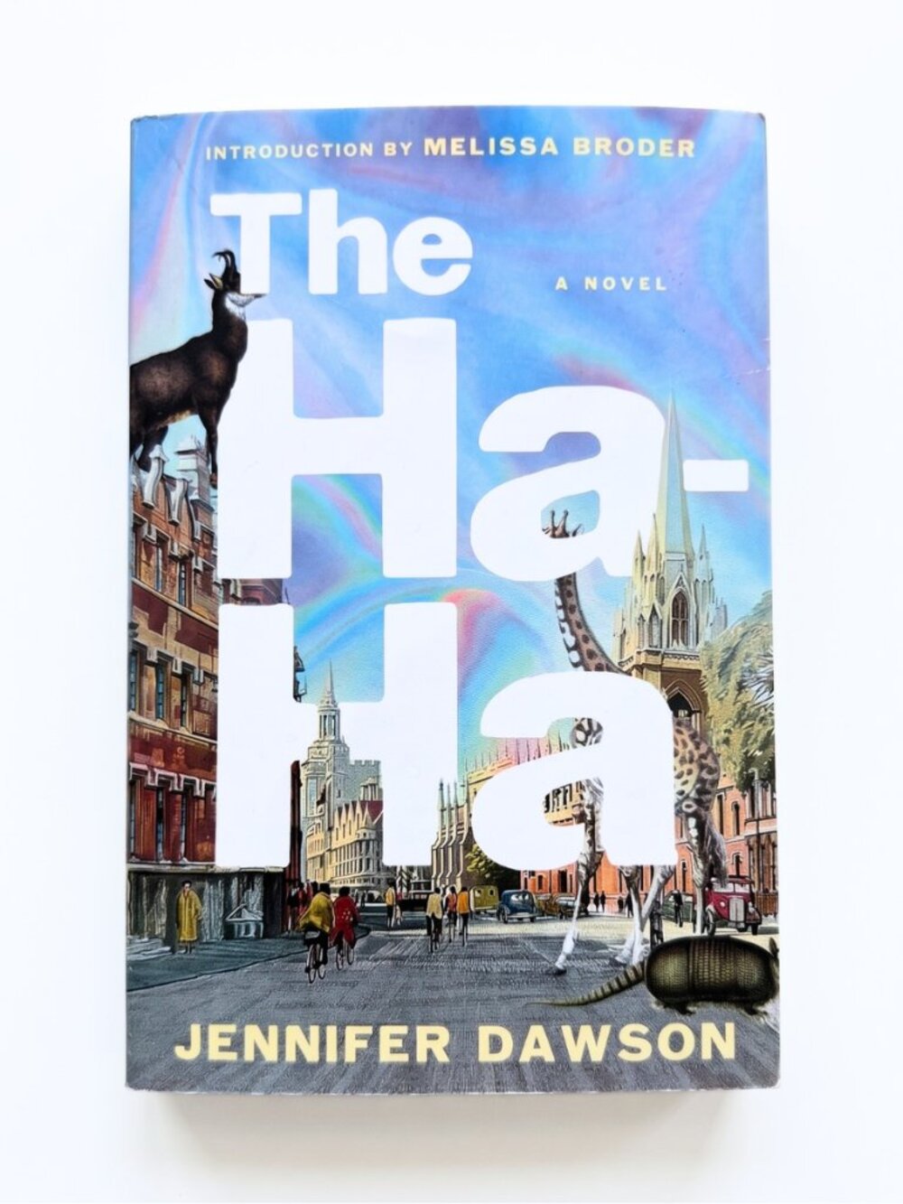 PAPERBACK - The Ha-Ha: A Novel by Jennifer Dawson - EUC